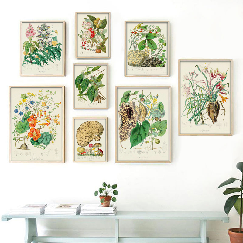 植物コレクション、ヴィンテージポスター、植物のハーブをモチー - Vintage Collectible Posters のレビューと価格